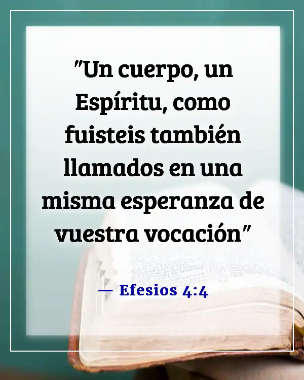 Versículo de la Biblia sobre las partes del cuerpo trabajando juntas (Efesios 4:4)