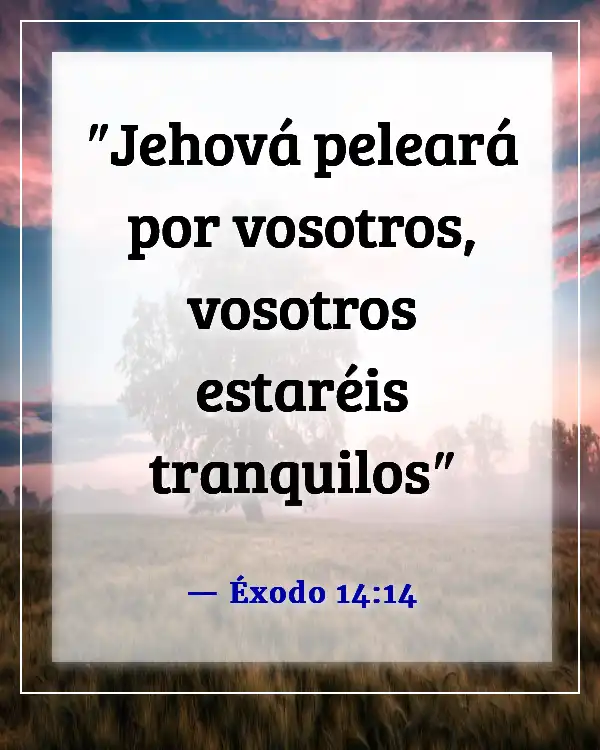 Versículos de la Biblia sobre mantener la calma en la tormenta y confiar en Dios (Éxodo 14:14)