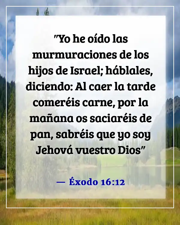 Versículo de la Biblia sobre comer y beber juntos (Éxodo 16:12)