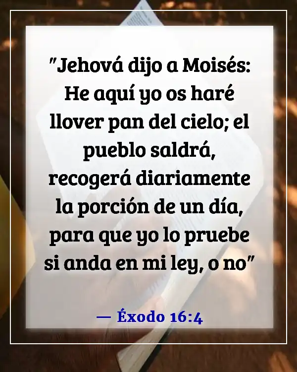 Versículo de la Biblia sobre bendiciones alimenticias (Éxodo 16:4)