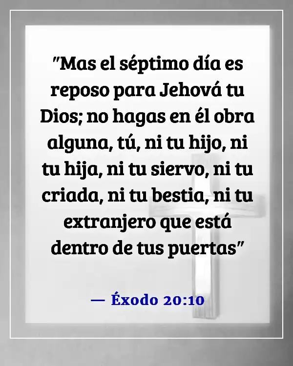 Versículos de la Biblia sobre cumplir la ley (Éxodo 20:10)