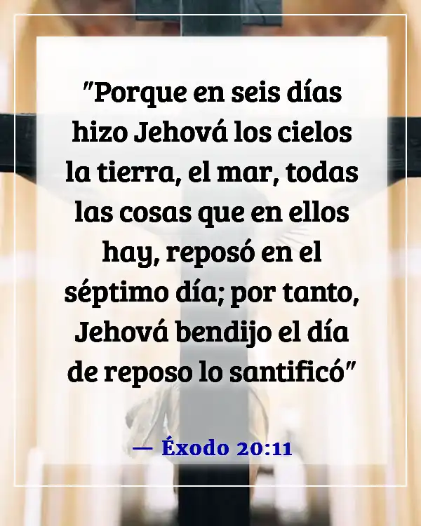 Versículos de la Biblia sobre cumplir la ley (Éxodo 20:11)