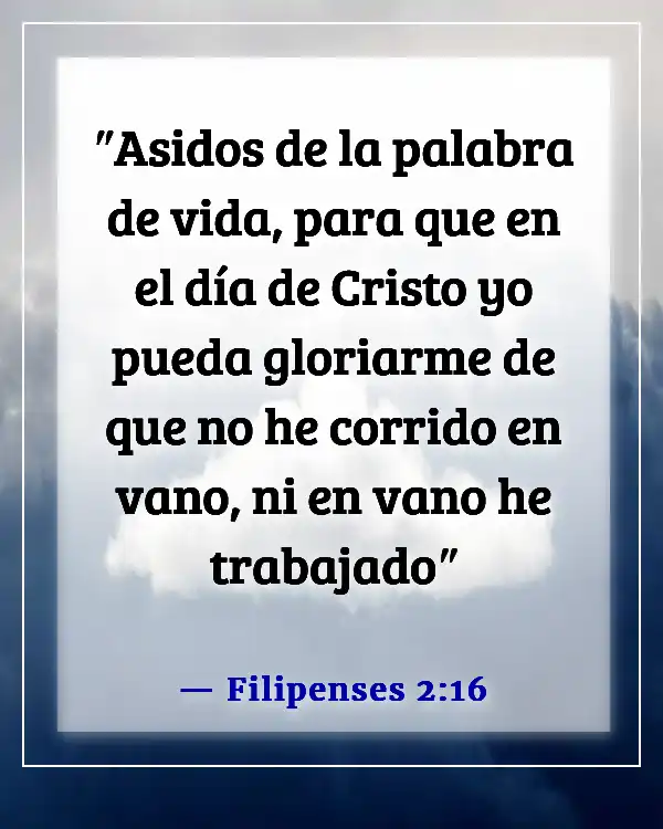 Versículos bíblicos para apreciar a los pastores y honrarlos (Filipenses 2:16)