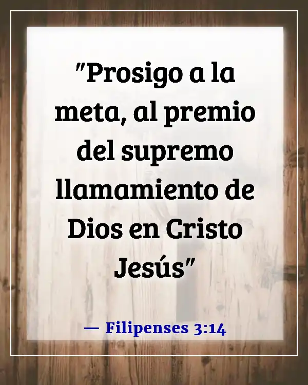 Versículo bíblico para la constancia (Filipenses 3:14)