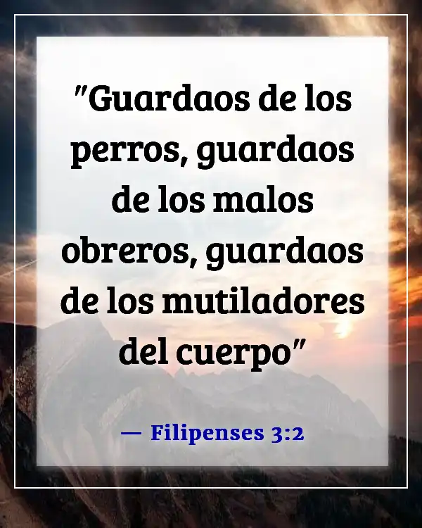 Versículos de la Biblia sobre alejarse de alguien (Filipenses 3:2)