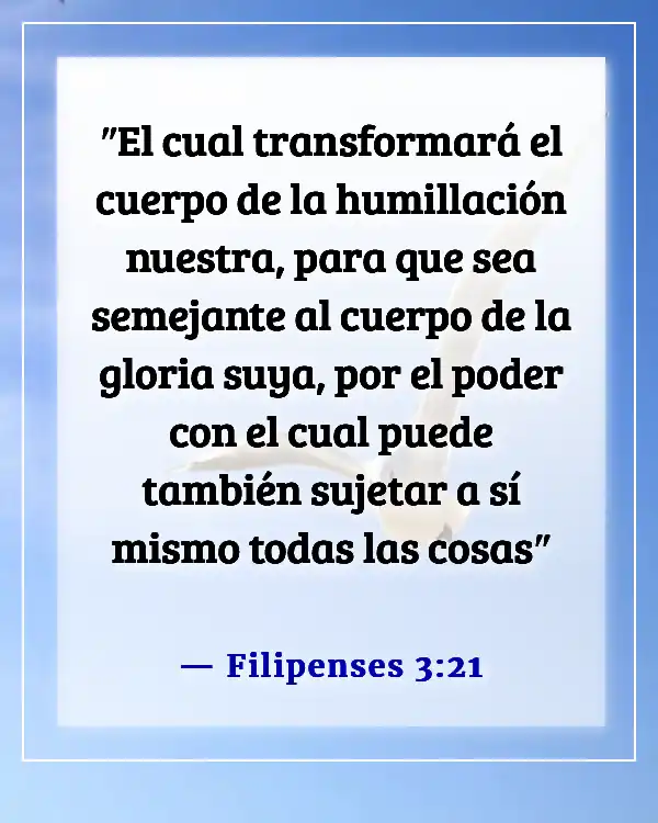 Versículos de la Biblia sobre ser transformados a la imagen de Cristo (Filipenses 3:21)