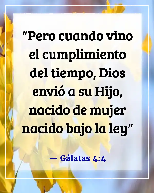 Versículos de la Biblia sobre el gozo al mundo, el Señor ha venido (Gálatas 4:4)