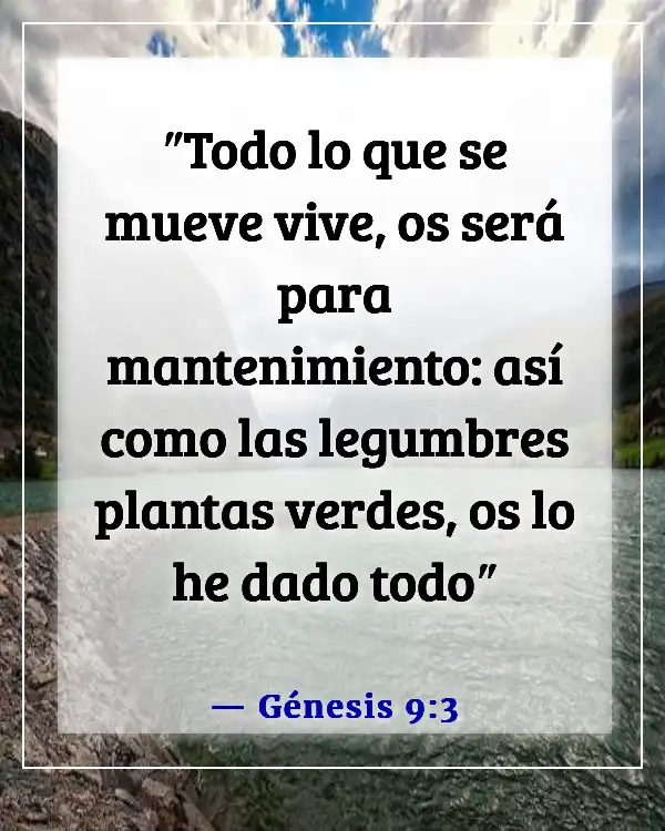 Versículo de la Biblia sobre bendiciones alimenticias (Génesis 9:3)