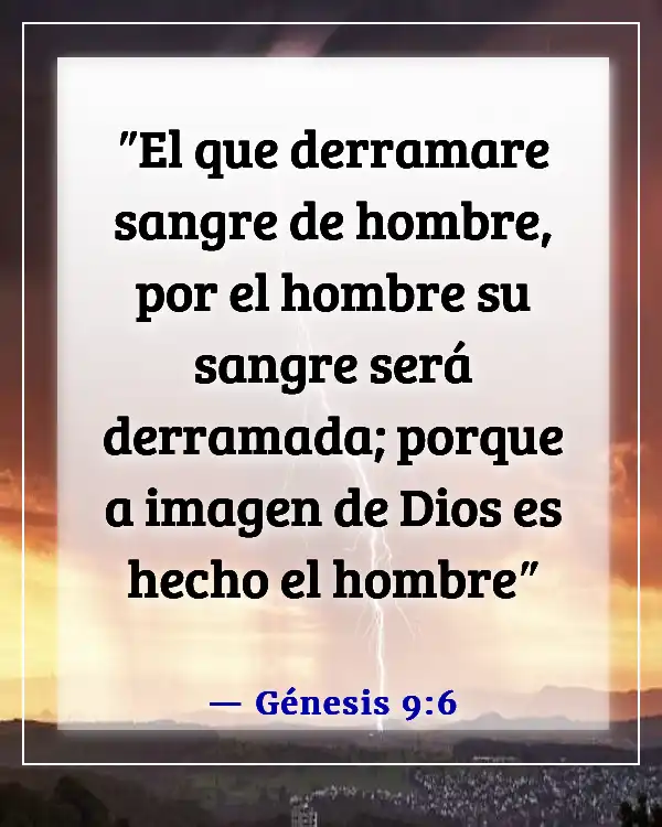 Versículos de la Biblia sobre el respeto por la vida humana (Génesis 9:6)