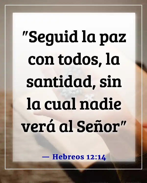 Versículos de la Biblia sobre Bienaventurados los pacificadores (Hebreos 12:14)