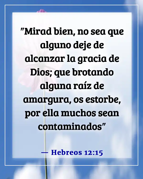 Versículos de la Biblia sobre las malas y negativas influencias (Hebreos 12:15)