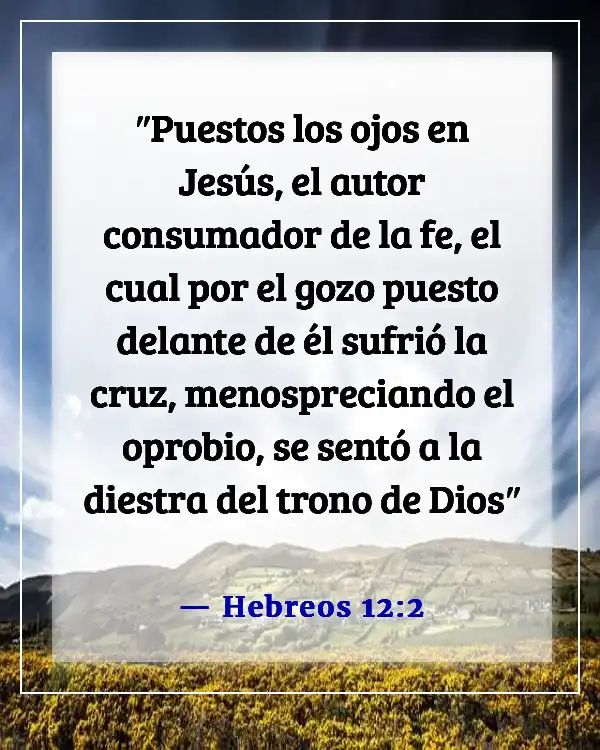 Versículos de la Biblia sobre el sufrimiento de Jesús por nuestros pecados (Hebreos 12:2)