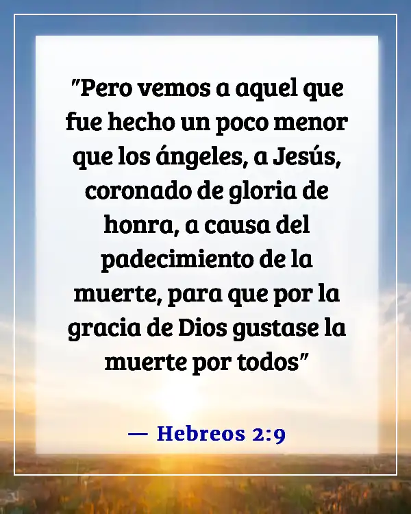 Versículos de la Biblia sobre Jesús muriendo por nuestros pecados (Hebreos 2:9)