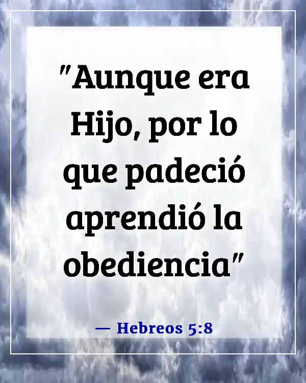 Versículos de la Biblia sobre Jesús cumpliendo la voluntad del Padre (Hebreos 5:8)