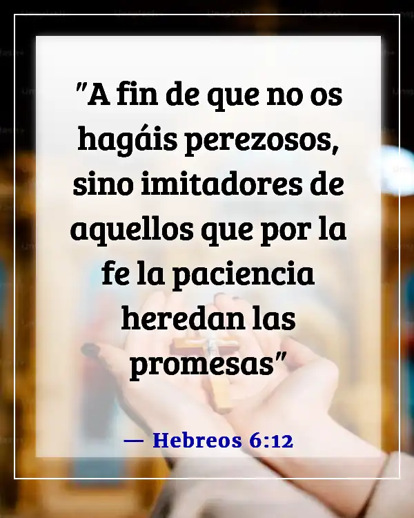 Versículos de la Biblia sobre la paciencia en las relaciones (Hebreos 6:12)