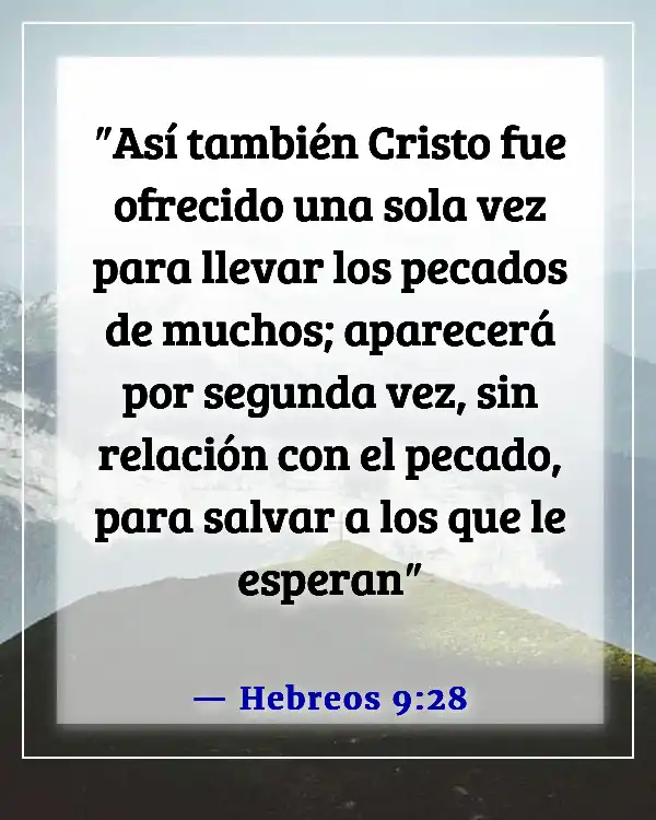 Versículo bíblico para el sacrificio de un padre (Hebreos 9:28)