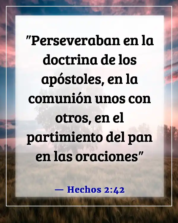 Versículos de la Biblia sobre la comunión con otros creyentes (Hechos 2:42)