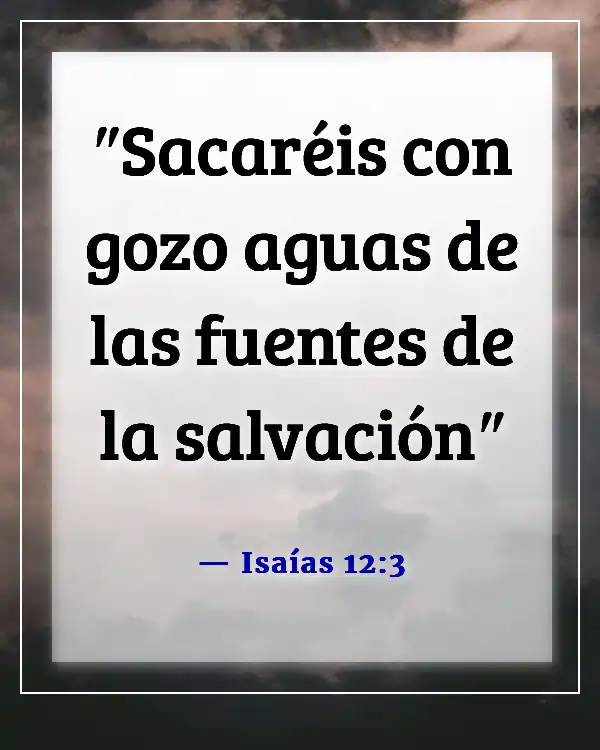 Versículos de la Biblia sobre que Dios quiere que seamos felices (Isaías 12:3)