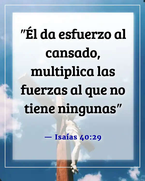 Versículo de la Biblia sobre correr la carrera con perseverancia (Isaías 40:29)