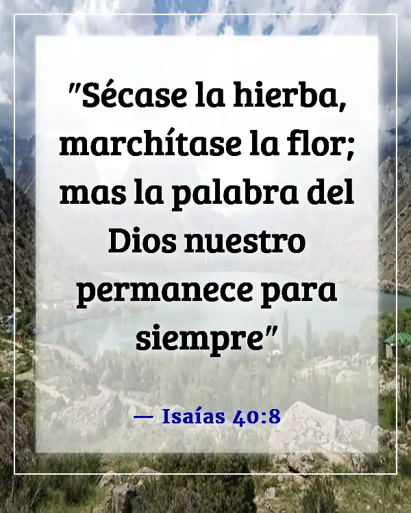 Versículos de la Biblia sobre que Dios no miente (Isaías 40:8)