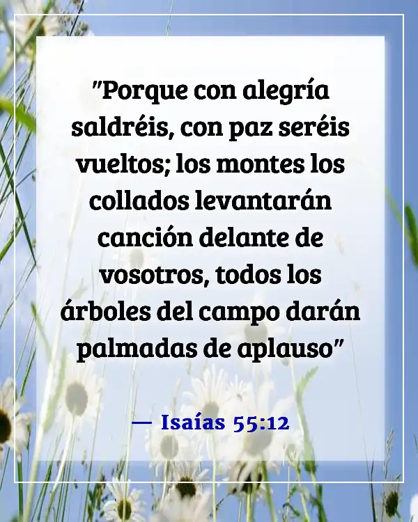 Versículos de la Biblia sobre sonreír, ser feliz y disfrutar de la vida (Isaías 55:12)