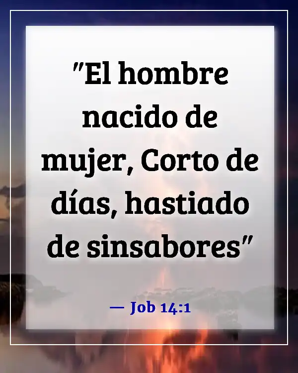 Versículos de la Biblia sobre la imperfección humana (Job 14:1)