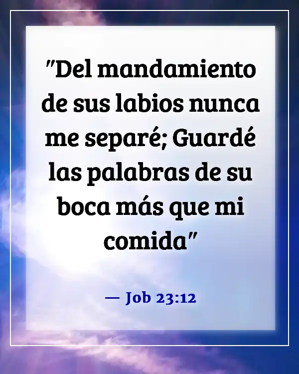 Ten cuidado con lo que alimentas tu mente con versículos bíblicos (Job 23:12)