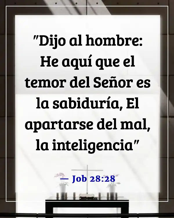 Versículos de la Biblia sobre la mujer sabia (Job 28:28)