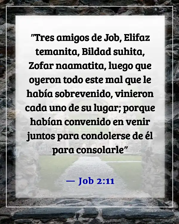 Versículos de la Biblia sobre perder amigos (Job 2:11)