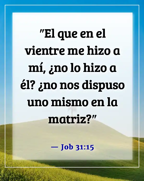 Versículos de la Biblia sobre el respeto por la vida humana (Job 31:15)