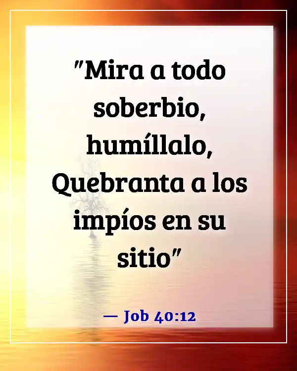 Versículos de la Biblia sobre no ser arrogante (Job 40:12)