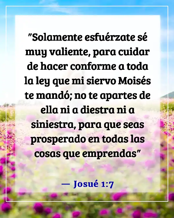 Versículo bíblico para la constancia (Josué 1:7)