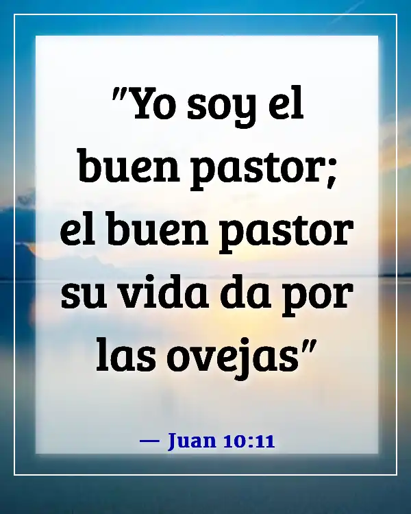 Versículos bíblicos para apreciar a los pastores y honrarlos (Juan 10:11)