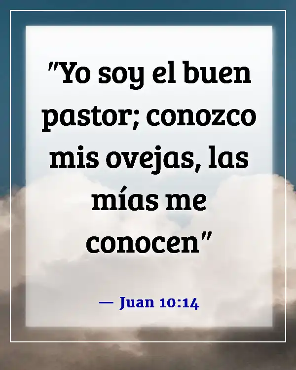 Versículos de la Biblia para sentirte más cerca de Dios (Juan 10:14)