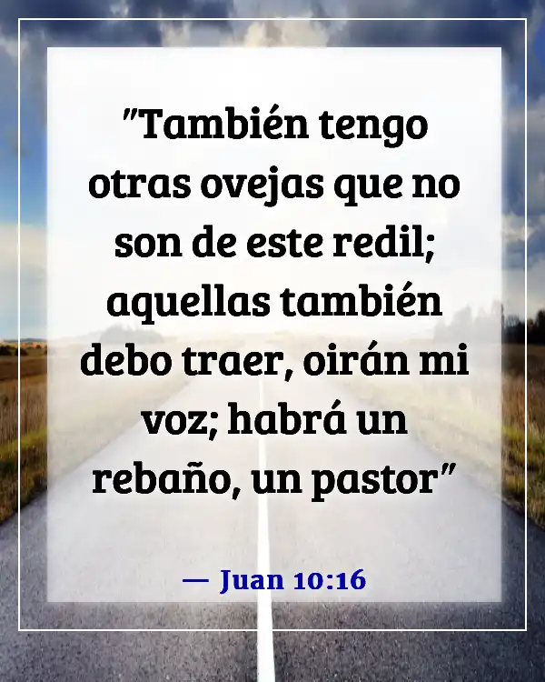 Versículos de la Biblia sobre el amor de Dios por los no creyentes (Juan 10:16)