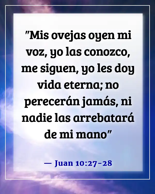 Versículos de la Biblia sobre recordar a los seres queridos (Juan 10:27-28)