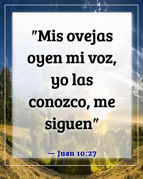 Versículos de la Biblia sobre Dios queriendo pasar tiempo con nosotros (Juan 10:27)