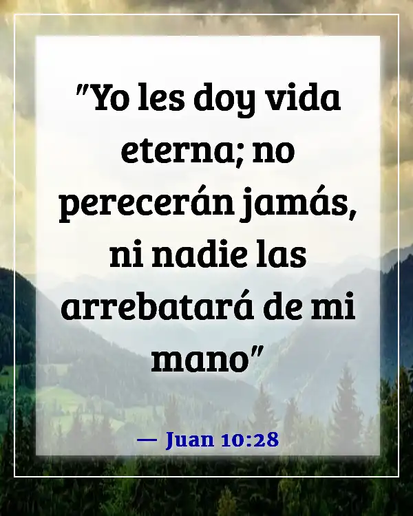 Versículo de la Biblia para protección en el trabajo (Juan 10:28)