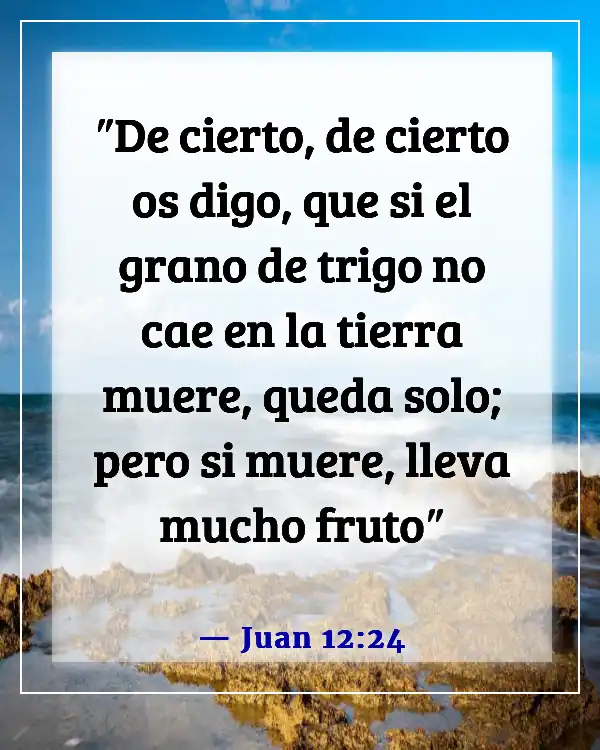 Versículos de la Biblia sobre aceptar la muerte (Juan 12:24)