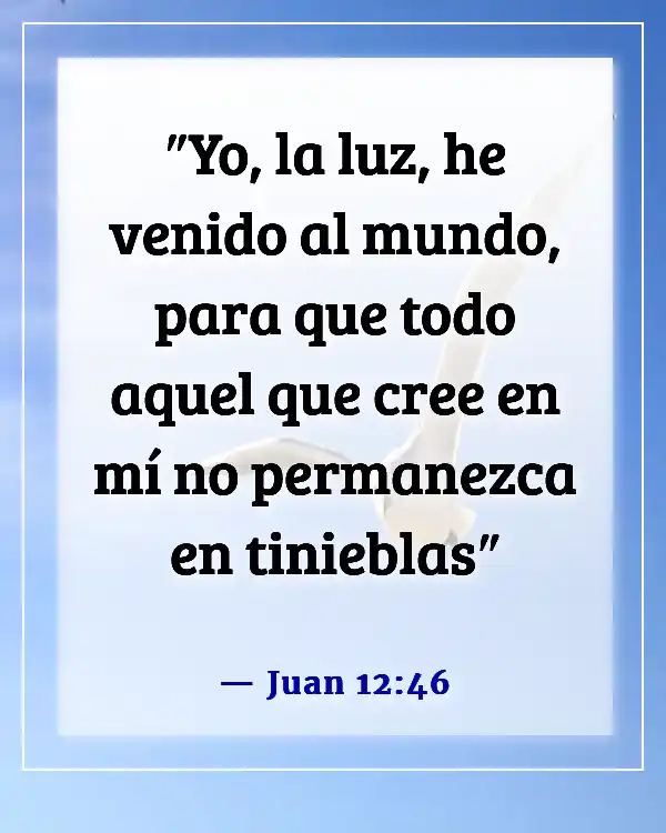 Versículos de la Biblia sobre Jesús como la Luz (Juan 12:46)