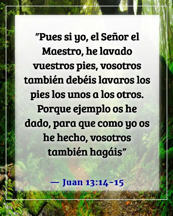 Versículos de la Biblia sobre aceptar ayuda de otros (Juan 13:14-15)