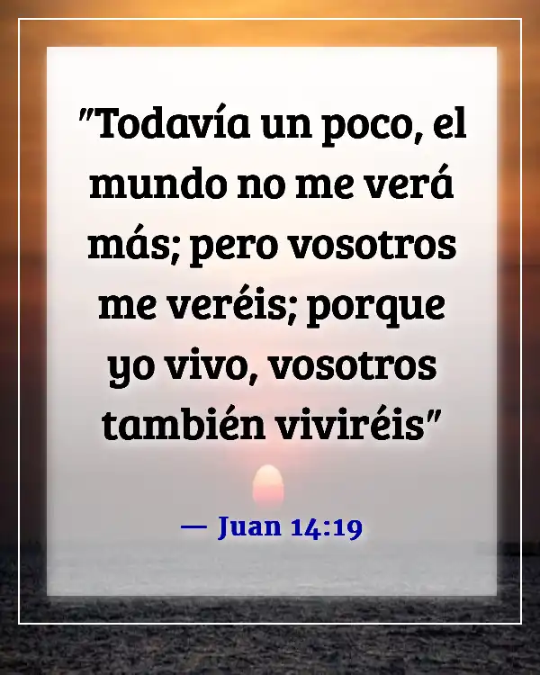 Versículos bíblicos sobre la victoria de Cristo sobre la muerte (Juan 14:19)