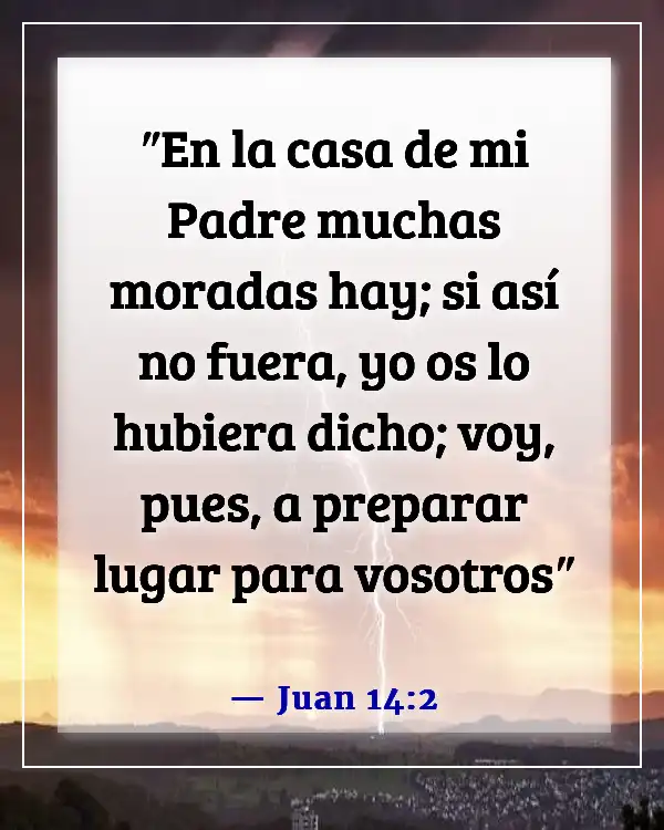 Versículos de la Biblia sobre la celebración de la vida después de la muerte (Juan 14:2)