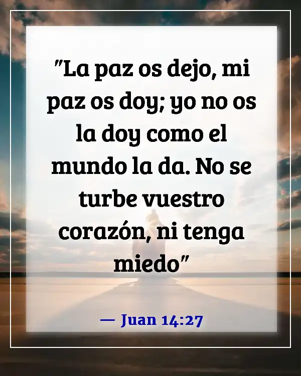 Versículos de la Biblia sobre mantener la calma en la tormenta y confiar en Dios (Juan 14:27)