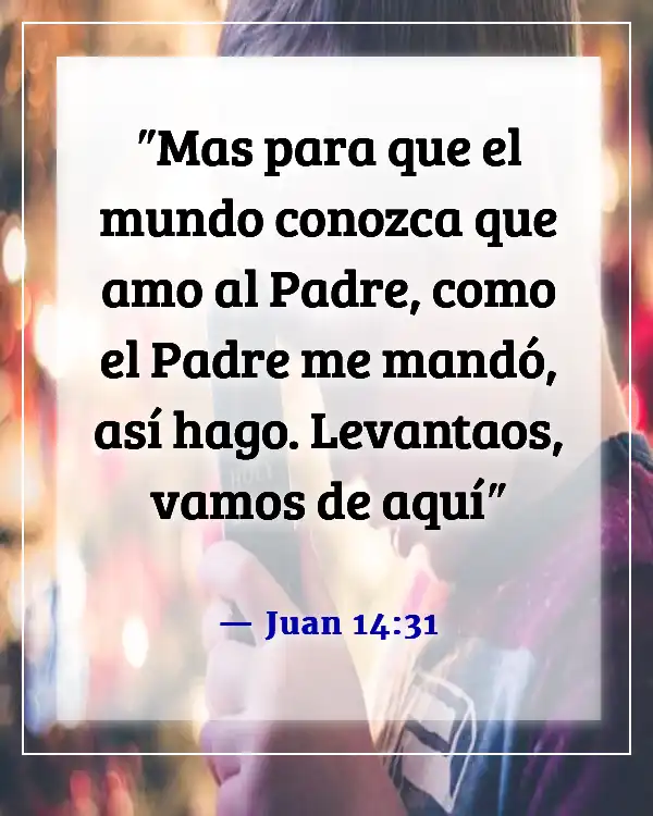 Versículos de la Biblia sobre Jesús cumpliendo la voluntad del Padre (Juan 14:31)