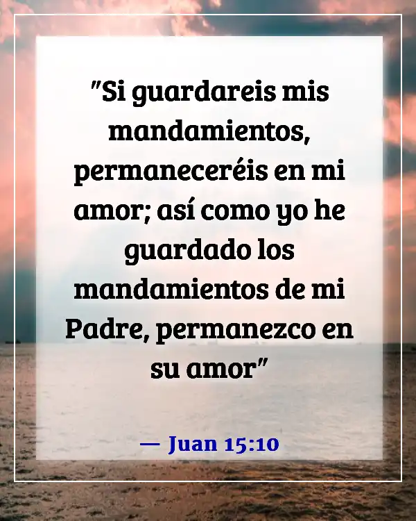 Versículos de la Biblia sobre Jesús cumpliendo la voluntad del Padre (Juan 15:10)