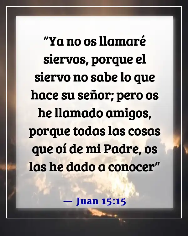 Versículos de la Biblia sobre confiar en amigos y la confianza en la amistad (Juan 15:15)