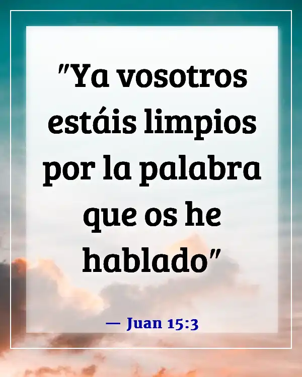 Versículos de la Biblia sobre la Palabra de Dios (Juan 15:3)