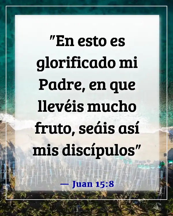 Versículos de la Biblia sobre las enseñanzas de Jesús a sus discípulos (Juan 15:8)