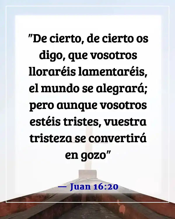 Versículo de la Biblia sobre Dios recogiendo nuestras lágrimas (Juan 16:20)